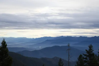 DSC_0075 (Large).JPG